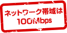 ネットワーク帯域は100Mbps