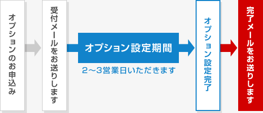 オプションのお申込み→受付メールをお送りします→オプション設定期間（2～3営業日いただきます）→オプション設定完了→完了メールをお送りします